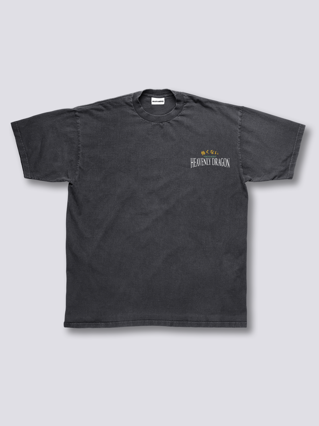 Heavenly Dragon Vintage T-Shirt Main Image