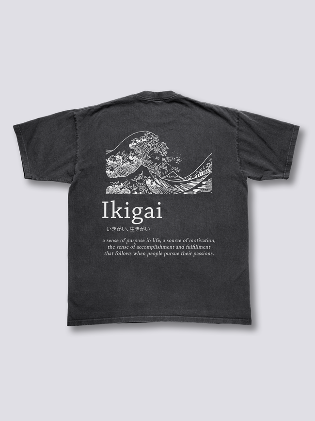 Ikigai Vintage T-Shirt Hover Image